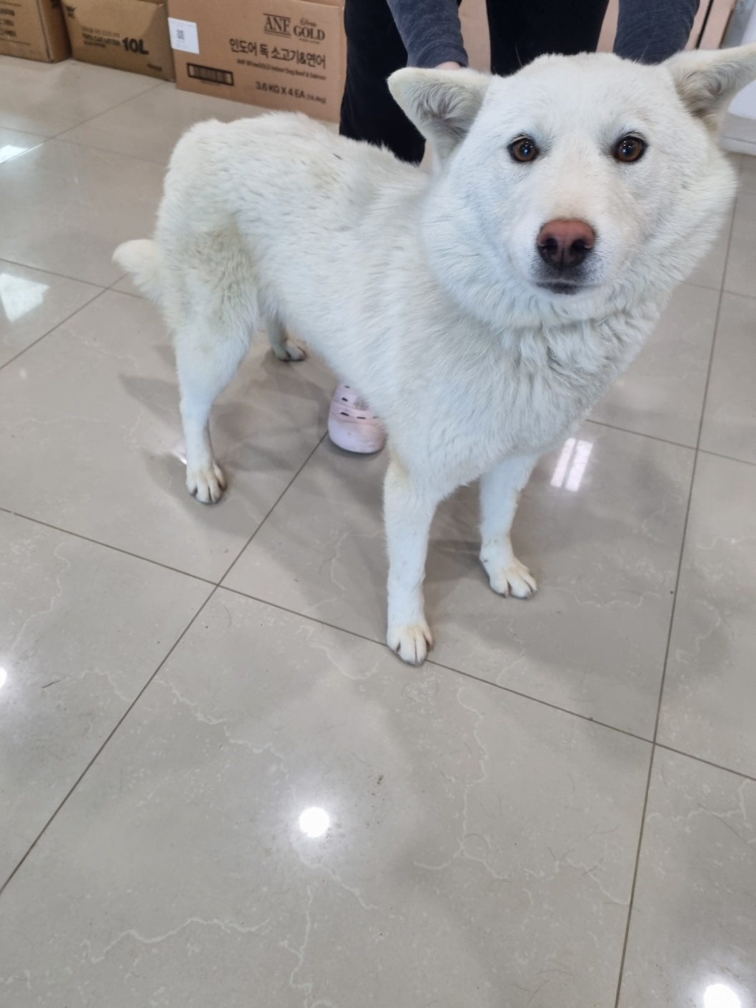 반려동물보호센터_443571202501443