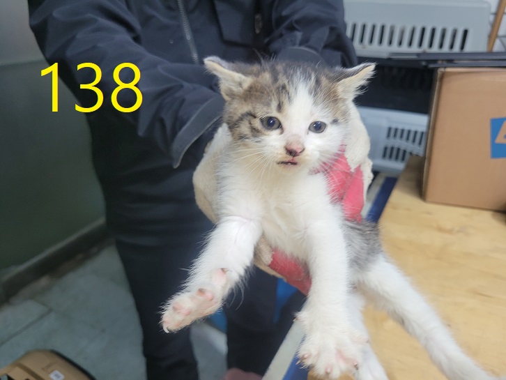 신영재동물병원_428355202500165