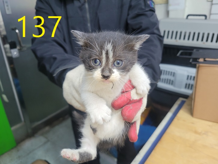 신영재동물병원_428355202500164