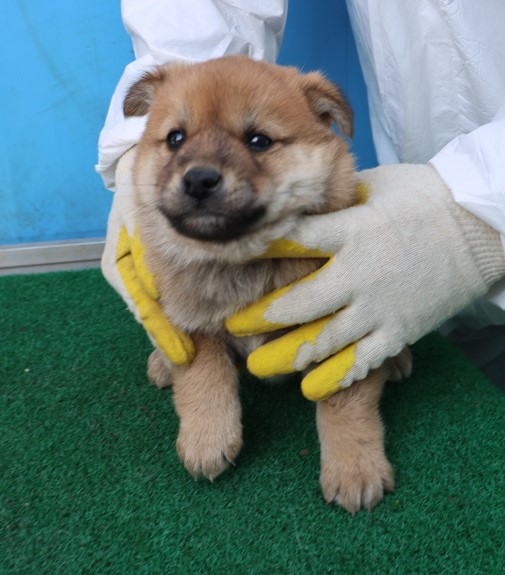 제주 동물보호센터_450650202500845
