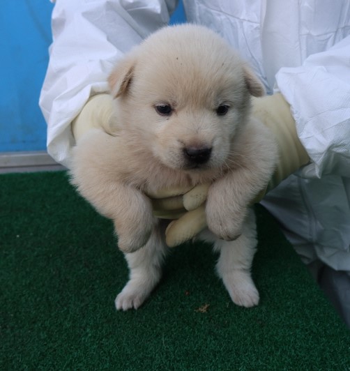 제주 동물보호센터_450650202500839
