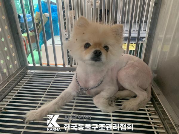 한국동물구조관리협회_411315202500249