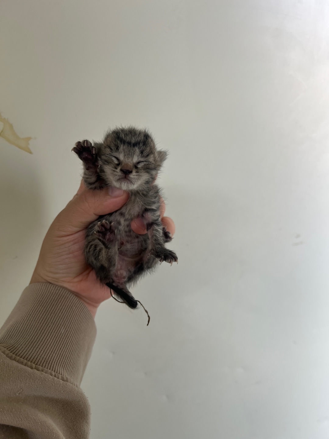 부산동물보호센터_426332202500067