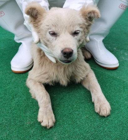 제주 동물보호센터_450650202500853