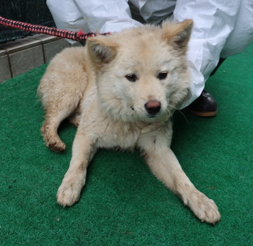 제주 동물보호센터_450650202500854