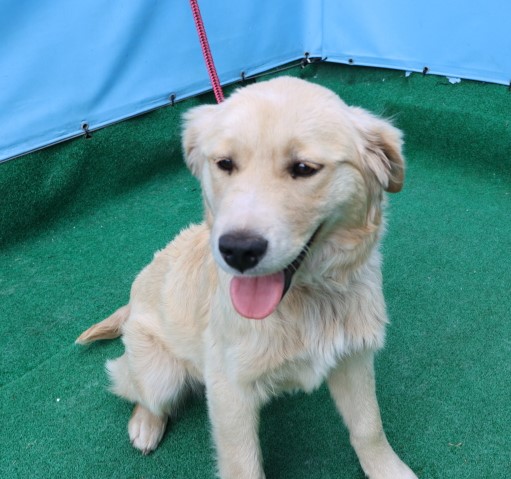 제주 동물보호센터_450650202500850