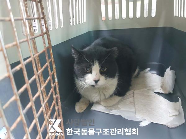 한국동물구조관리협회_411310202500289