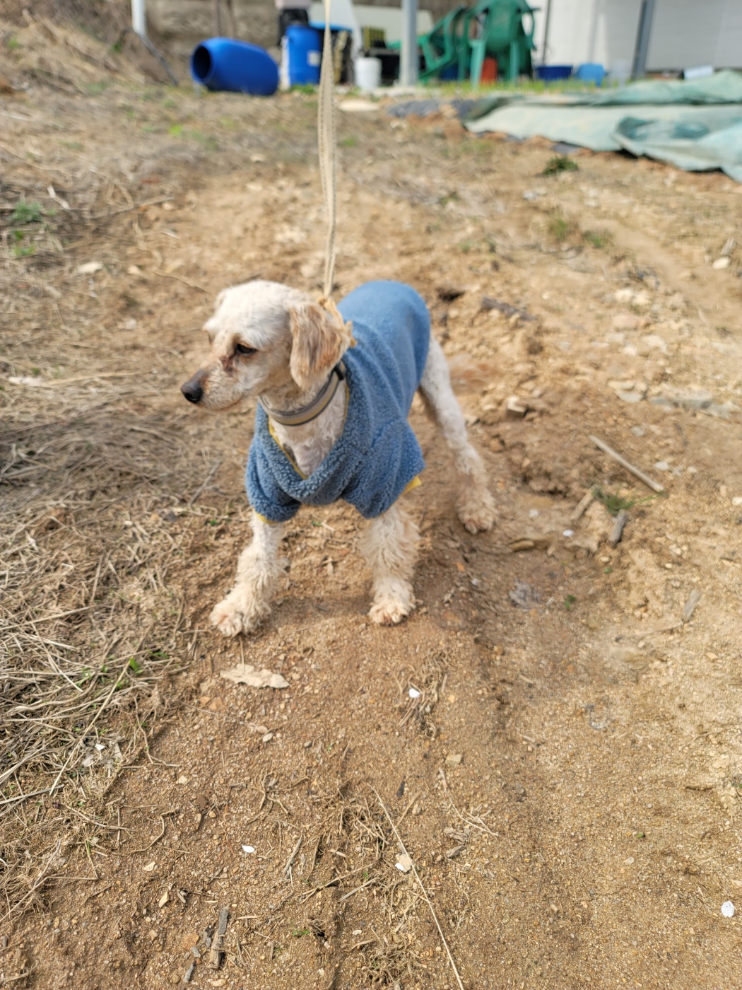 괴산증평동물보호센터_443446202500201