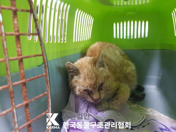 종료(자연사) 한국…