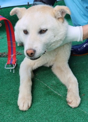 제주 동물보호센터_450650202500877