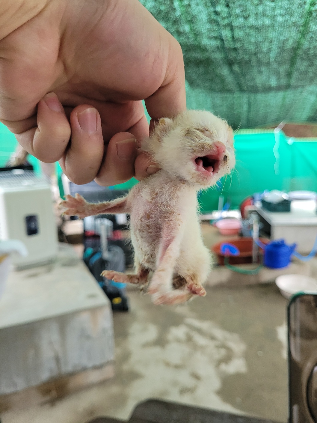 밀양시 동물보호센터_448536202500320