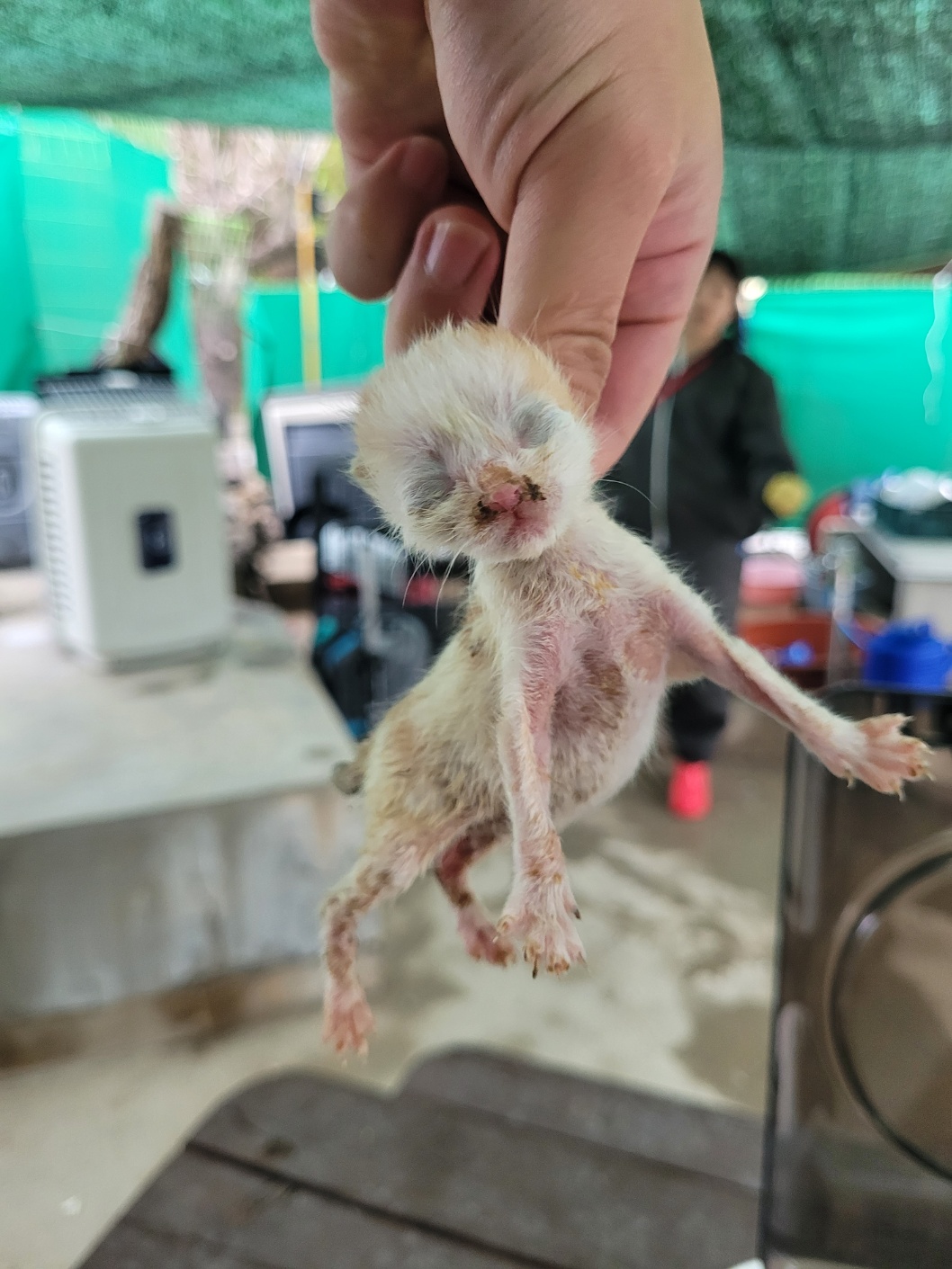 밀양시 동물보호센터_448536202500324