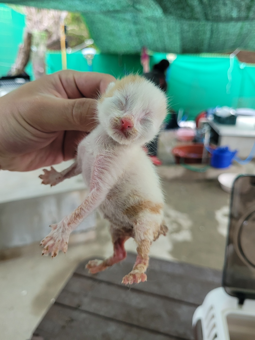 밀양시 동물보호센터_448536202500326
