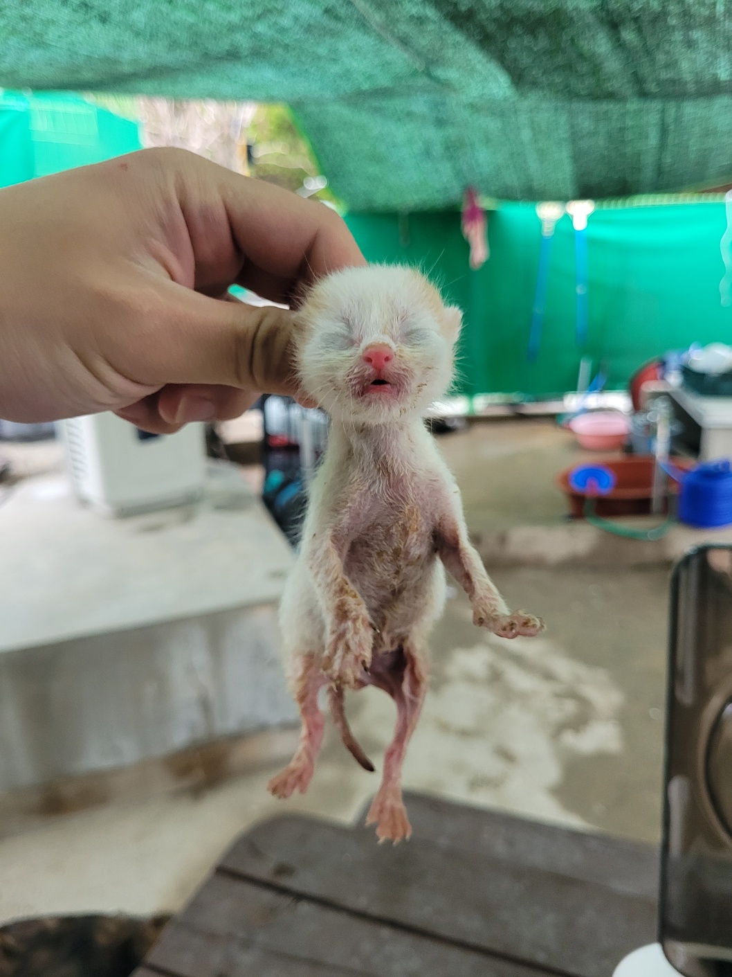 밀양시 동물보호센터_448536202500322