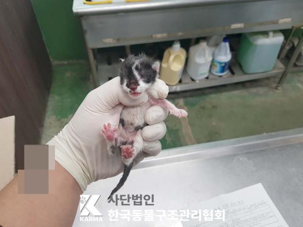 한국동물구조관리협회_411304202500197