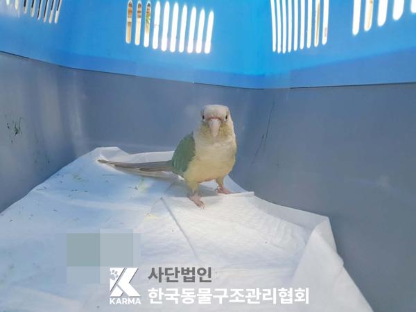 한국동물구조관리협회_411316202500212
