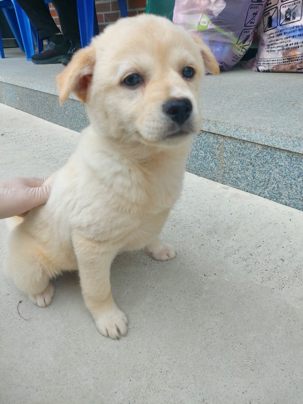 남해군동물보호센터_448543202500046