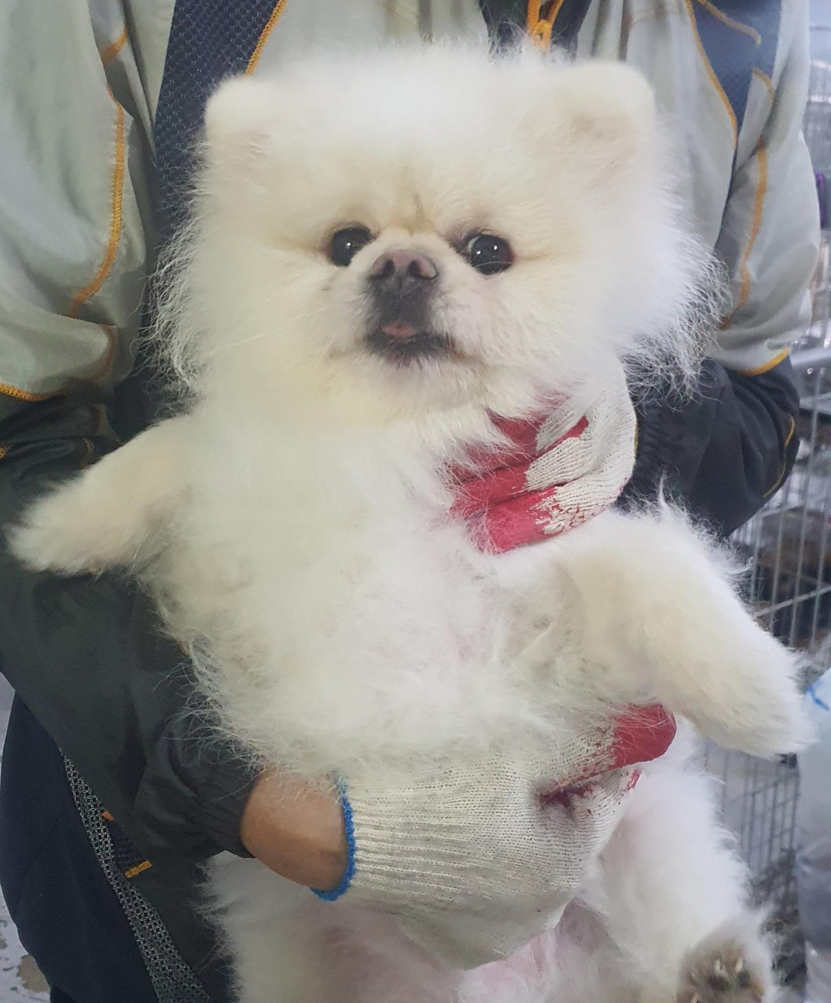 인천광역시수의사회_428353202500312
