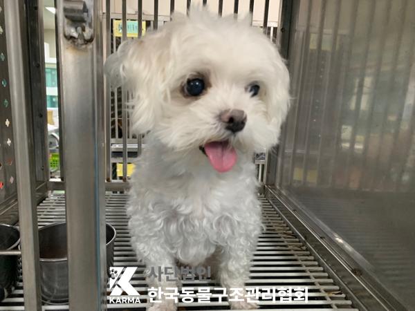 한국동물구조관리협회_411315202500255