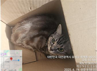 대전동물보호센터_430367202500271