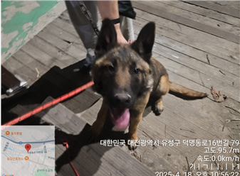대전동물보호센터_430367202500270