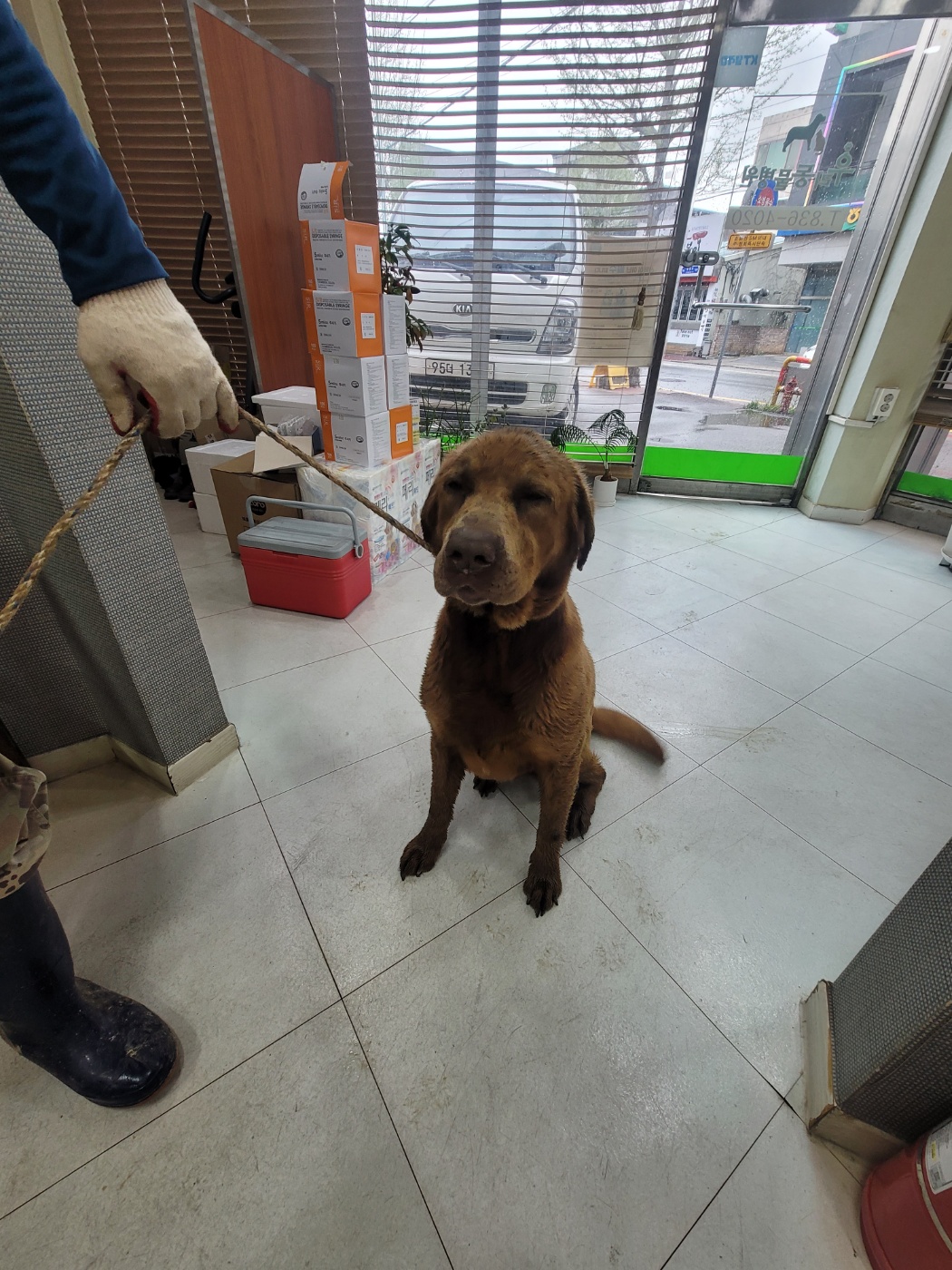 가정견훈련소_443557202500038