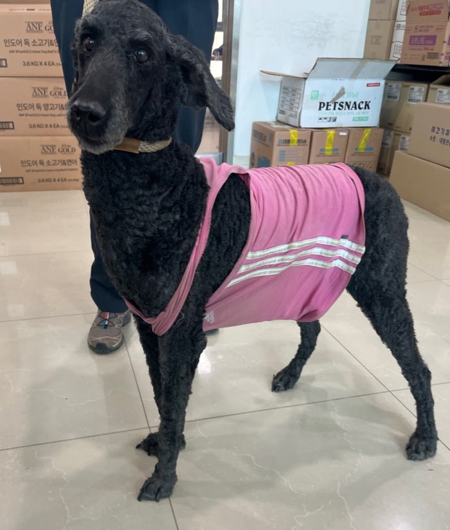 반려동물보호센터_443571202501569