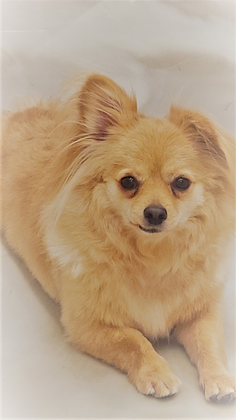 광명반함센터_441390202500211