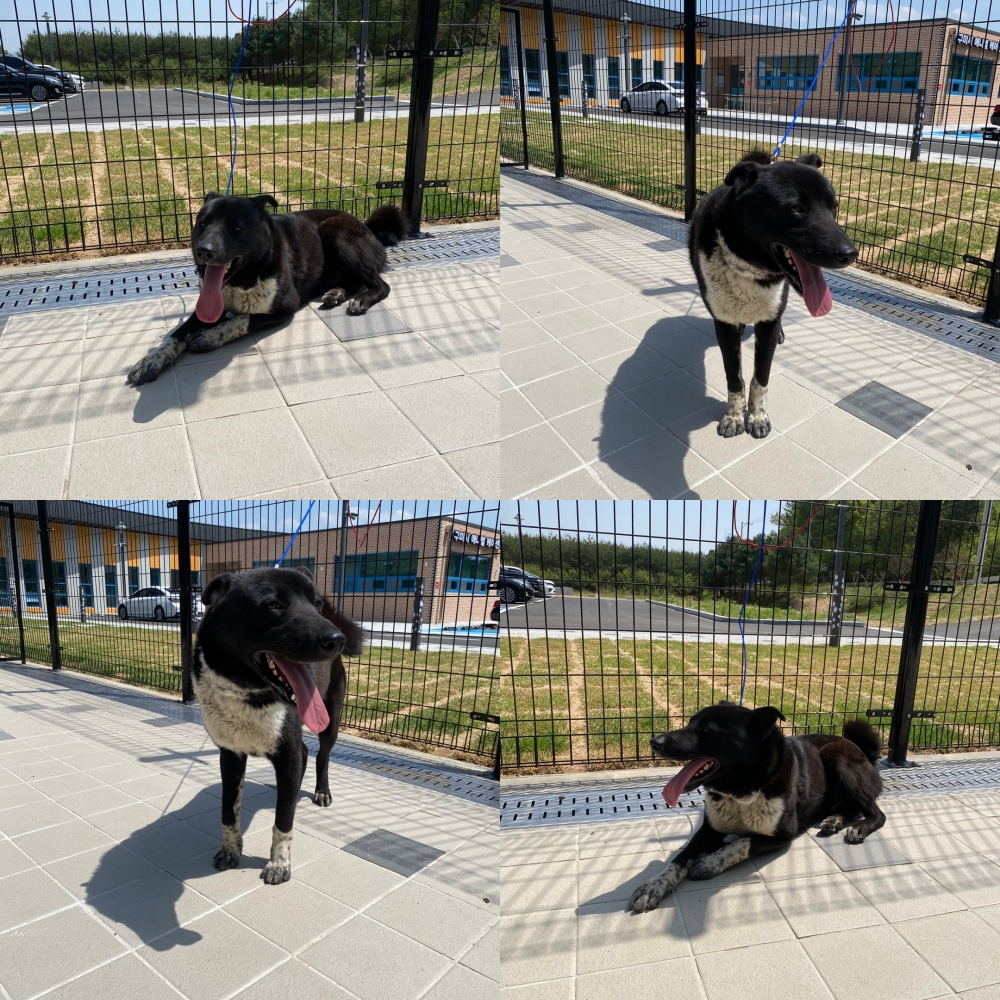 구미시 동물보호센터_447508202500664