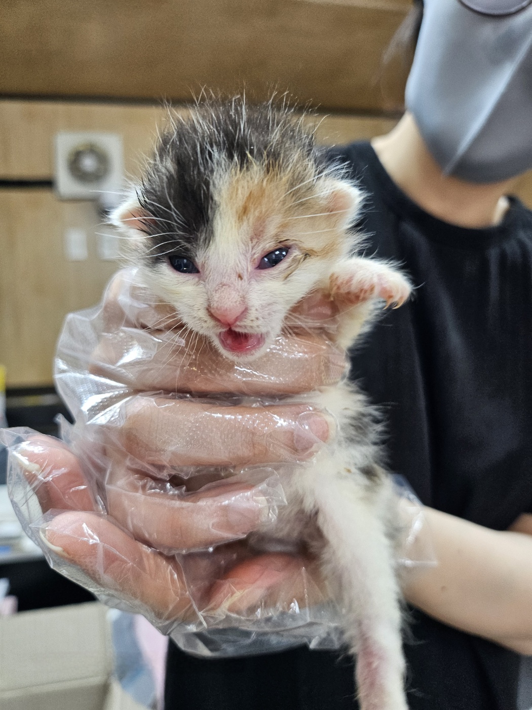 울산유기동물보호센터_431372202500192