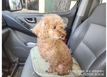 대전동물보호센터_430366202500210