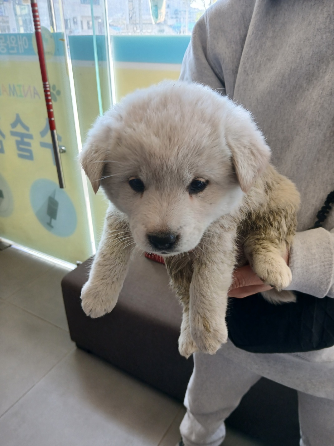 금왕동물병원_443447202500395