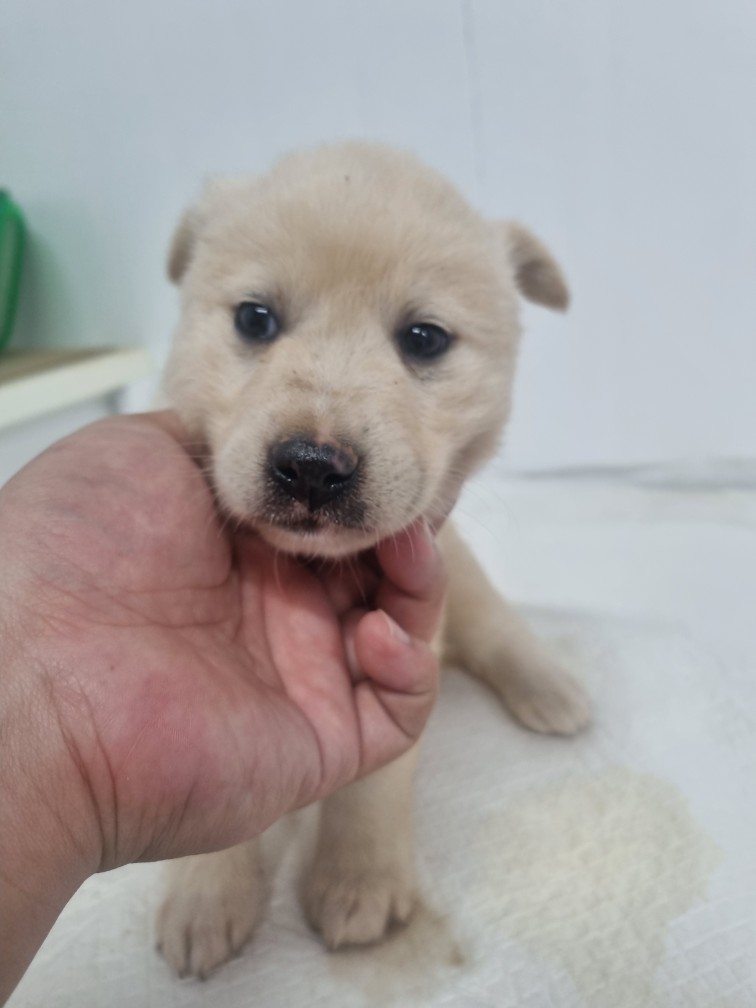 군위종합동물병원_427514202500103