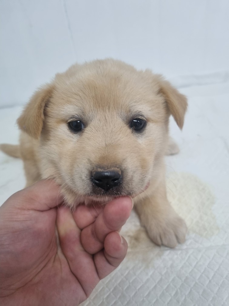 군위종합동물병원_427514202500105