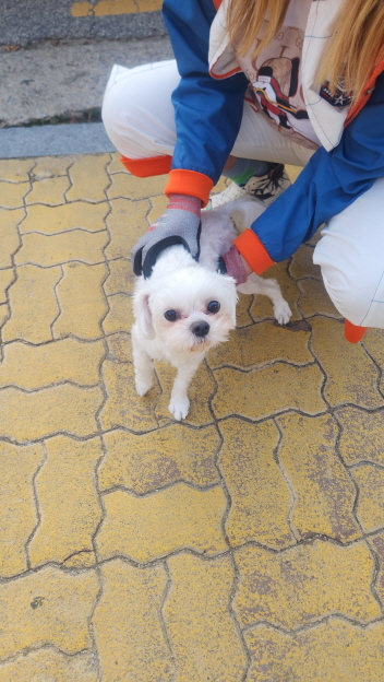 익산유기동물보호소_445468202501043