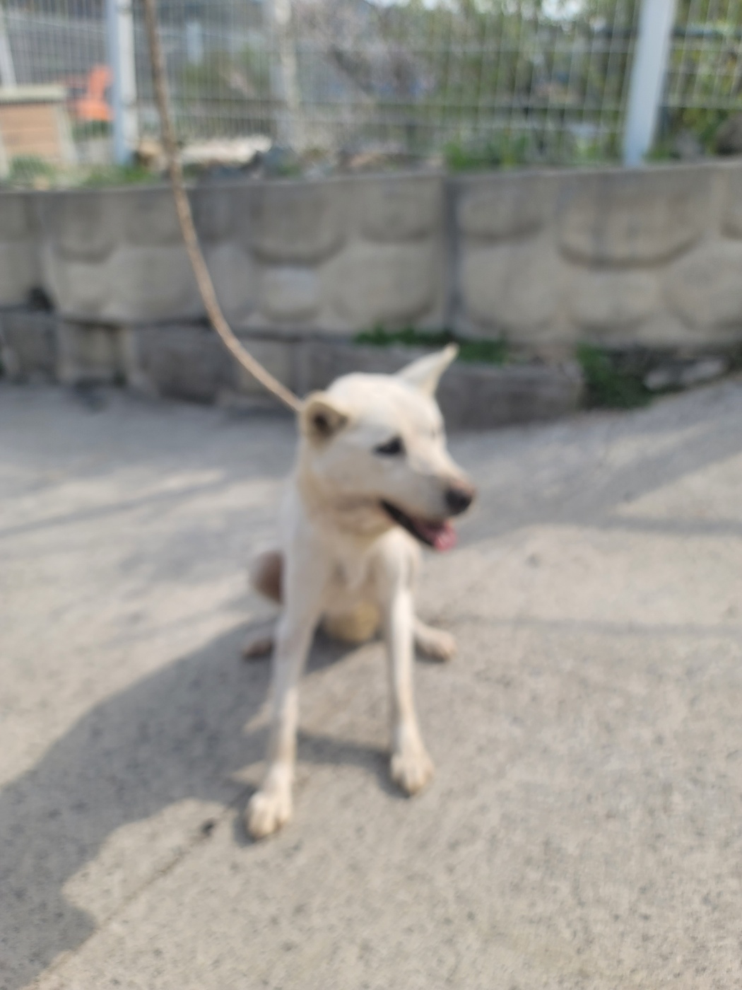 괴산증평동물보호센터_443446202500211