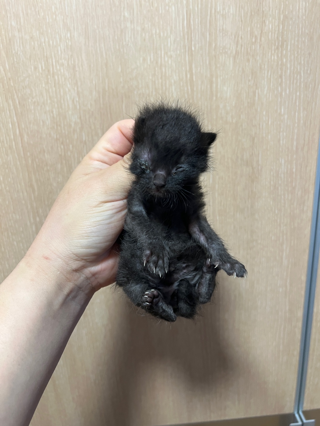 부산동물보호센터_426332202500080
