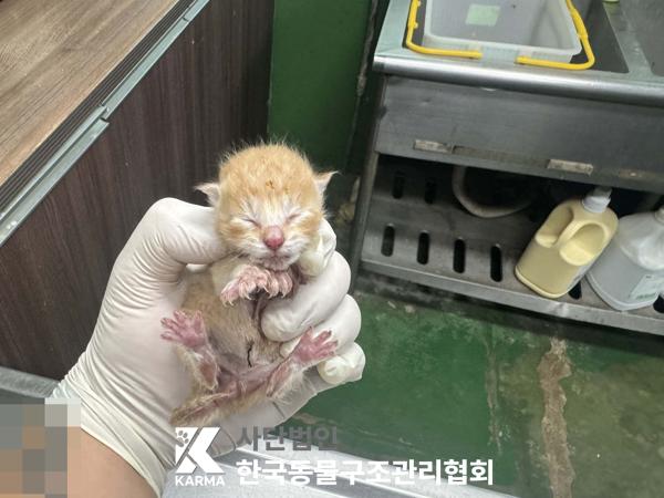 한국동물구조관리협회_411310202500309
