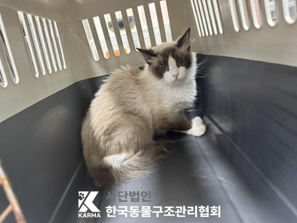 한국동물구조관리협회_411322202500192