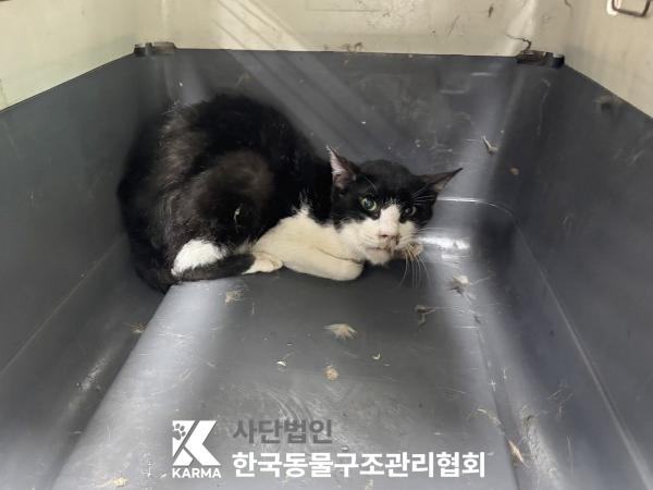 한국동물구조관리협회_411316202500223