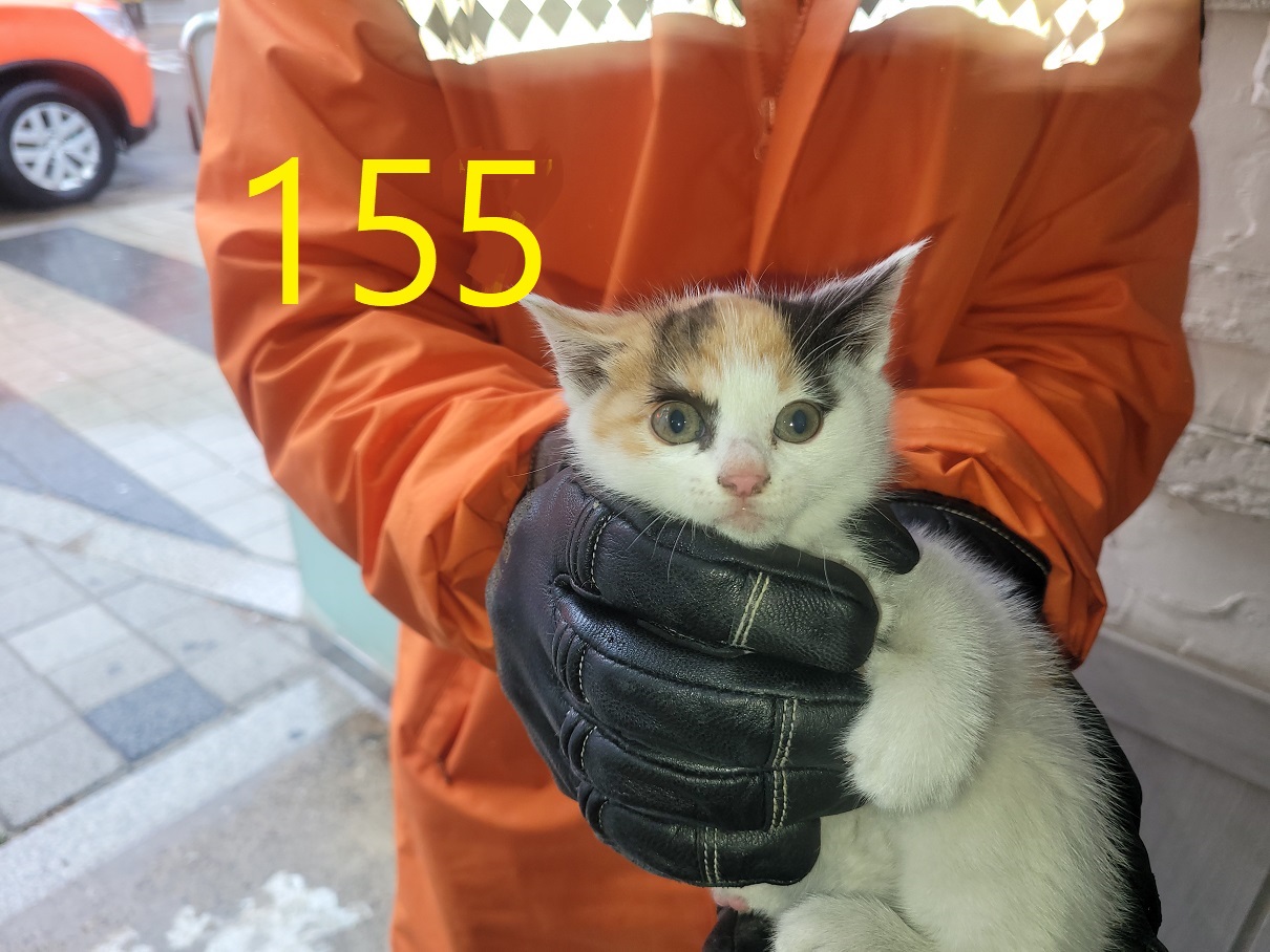 신영재동물병원_428355202500182