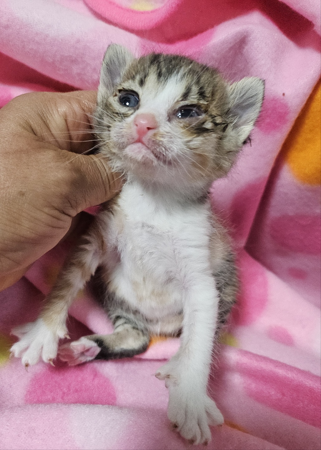 울산유기동물보호센터_431372202500200