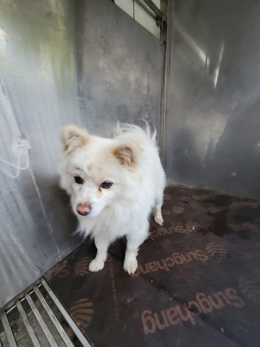 괴산증평동물보호센터_443446202500214