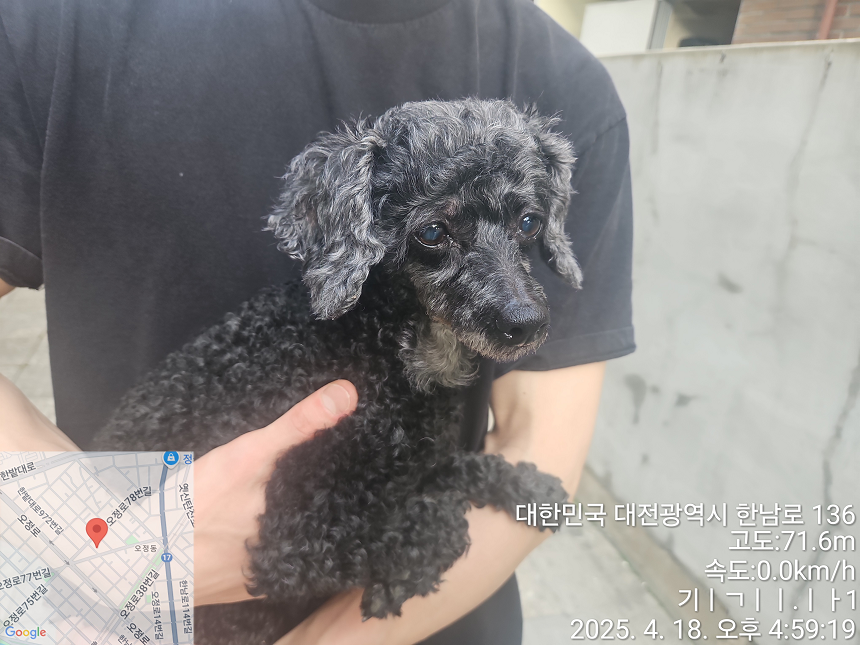 대전동물보호센터_430368202500127