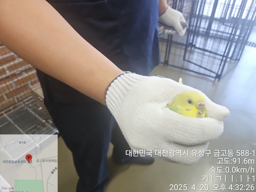 대전동물보호센터_430368202500128