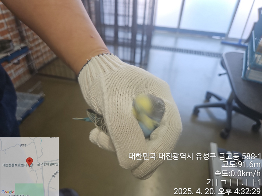 대전동물보호센터_430368202500129