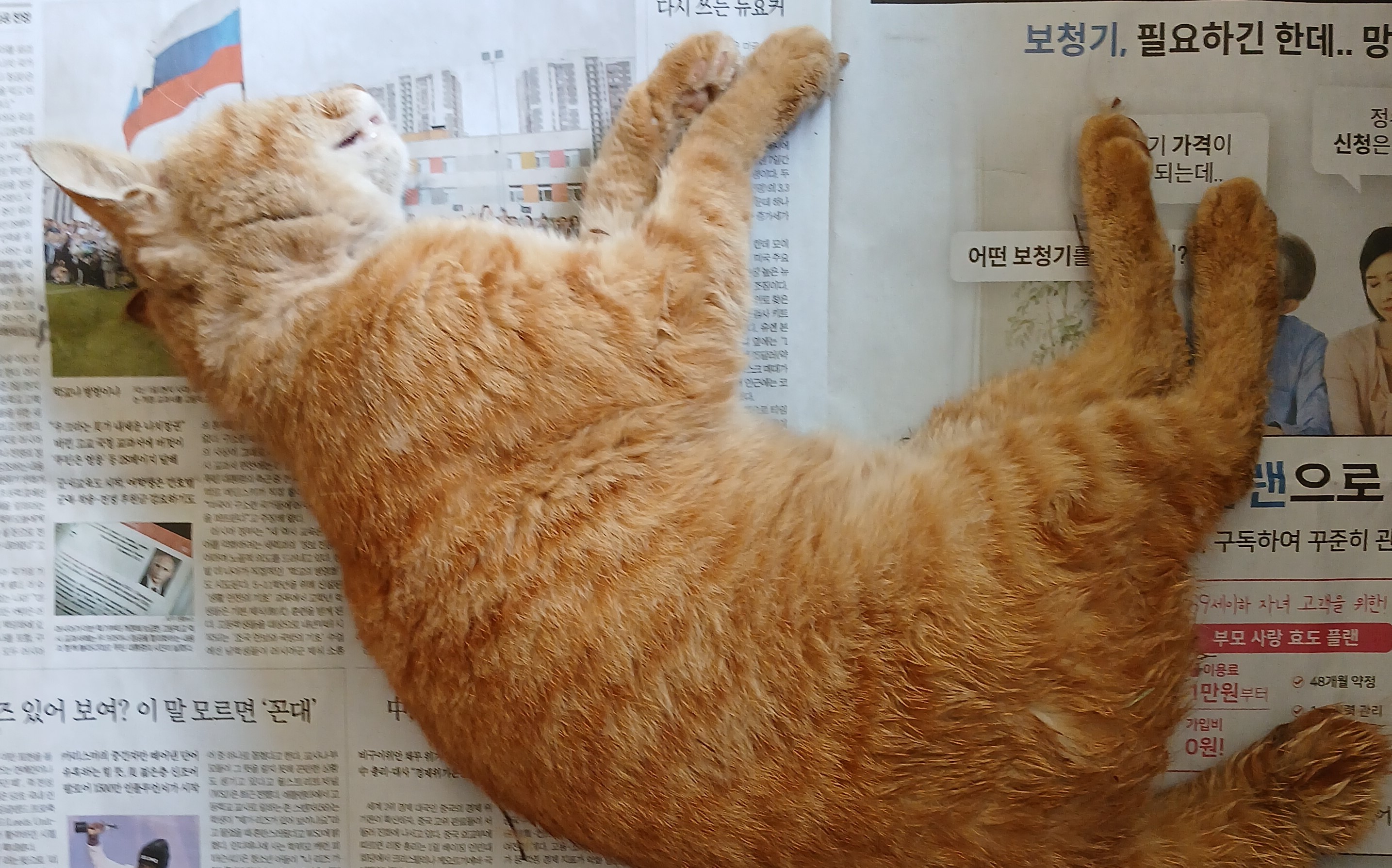 종료(자연사) 한국…