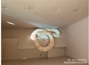 대전동물보호센터_430366202500217
