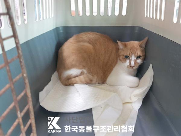 한국동물구조관리협회_411316202500226