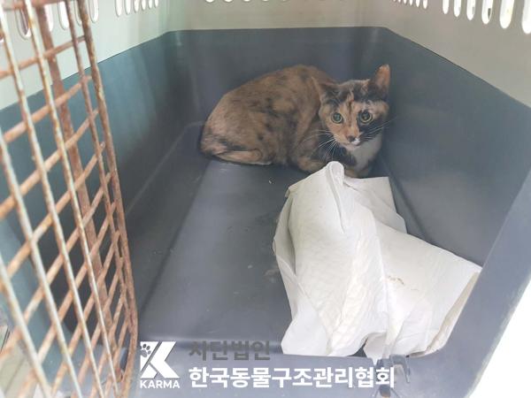 한국동물구조관리협회_411316202500225
